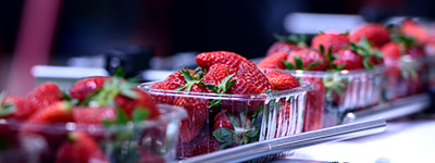 Industria agroalimentaria